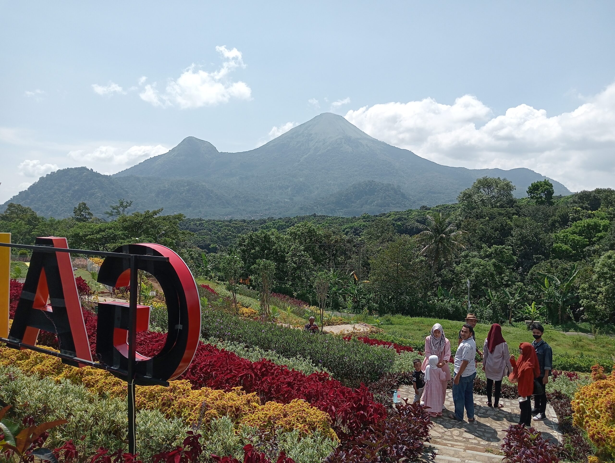 Desa Tanjungwangi
